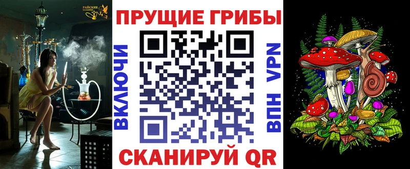 Галлюциногенные грибы Cubensis  Омутнинск 